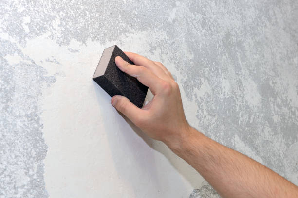 Best Mold Damage Restoration  in Lincoln Park, MI