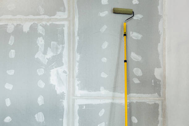 Best HVAC Mold Inspection and Cleaning  in Lincoln Park, MI