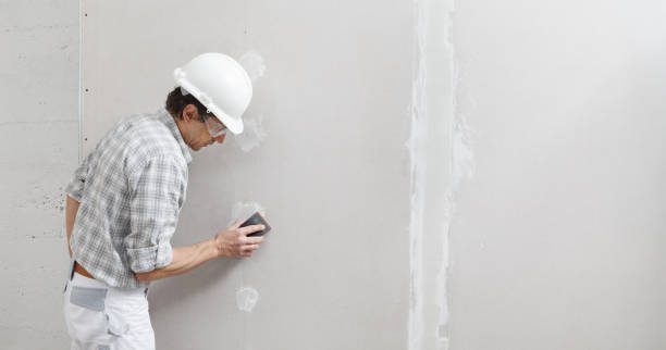 Best Commercial Mold Inspection  in Lincoln Park, MI