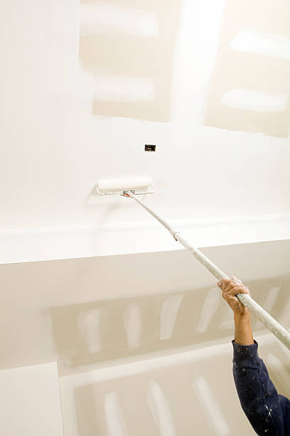 Best Biohazard Mold Removal  in Lincoln Park, MI