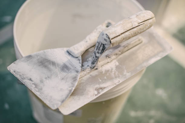 Best Mold Remediation for Rental Properties  in Lincoln Park, MI